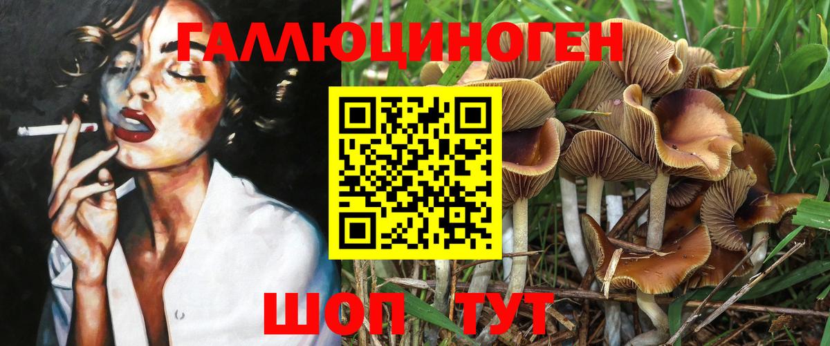 Псилоцибиновые грибы мицелий  наркота  Волоколамск  Псилоцибиновые грибы MAGIC MUSHROOMS  Вход с VPN 