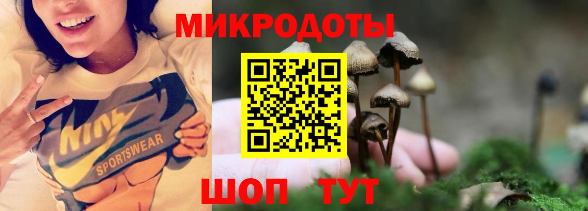 Галлюциногенные грибы прущие грибы Волоколамск